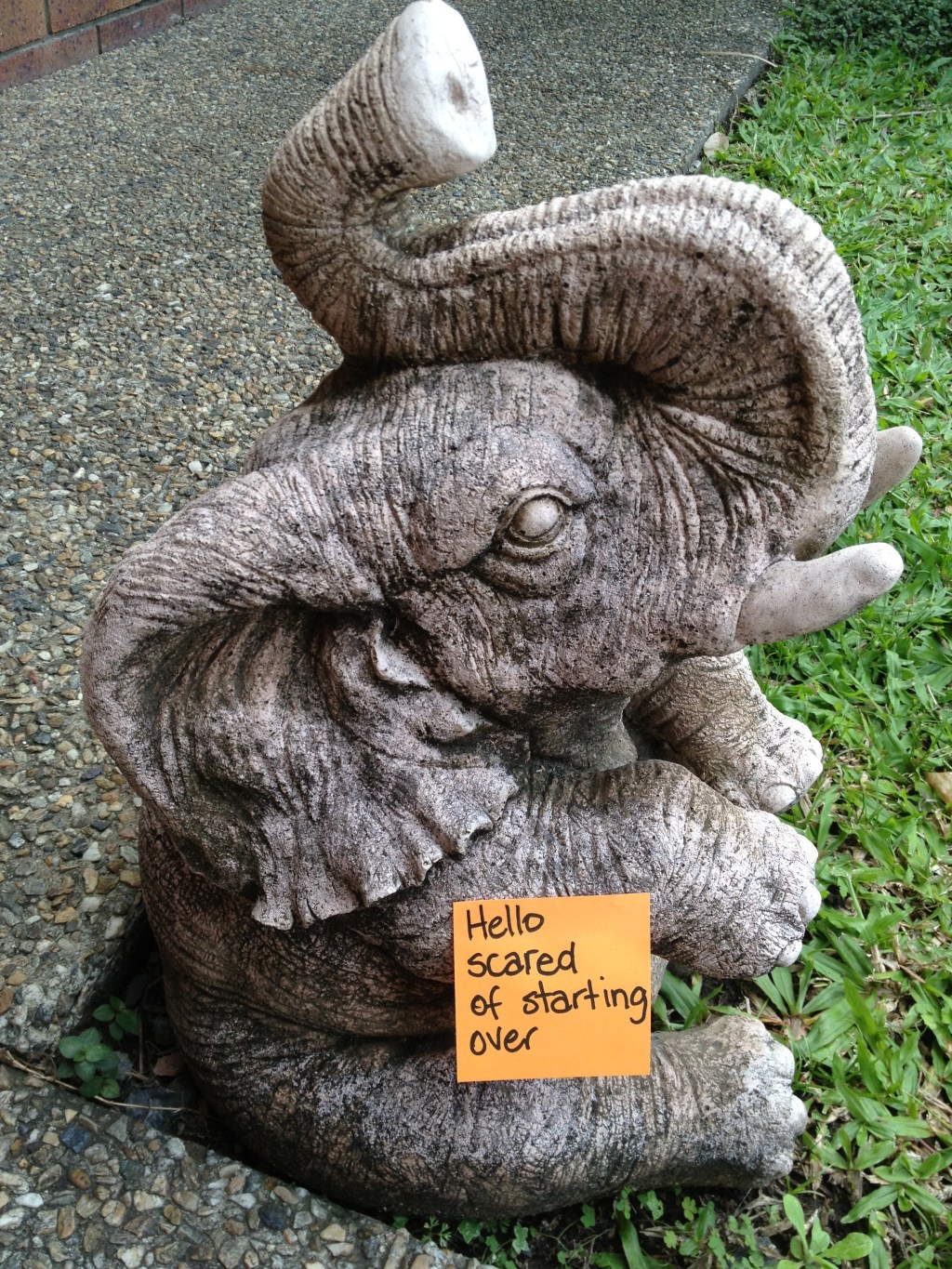 How to Name Your&nbsp;Elephant