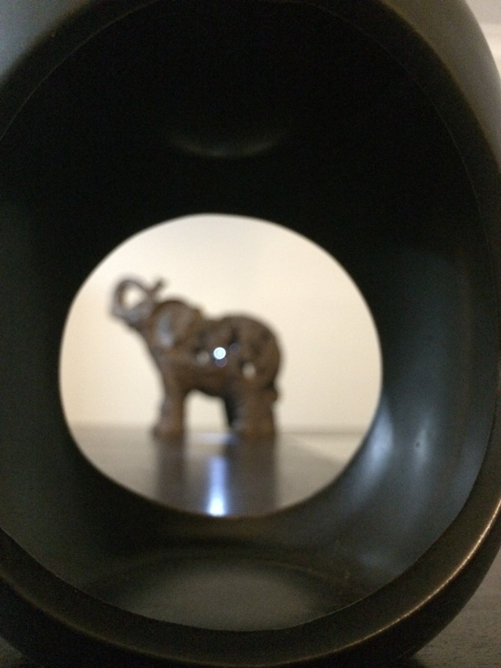 See your Star ‘light’ behind those&nbsp;elephants